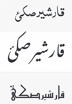 Qarshkī language written in order (In Qarsherskiy Arabic dialect, in Qarshkī, in Persian.