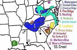 A detailed map of the Eastern USA showing where the 13 main Sweetgum Kriyul tribes live