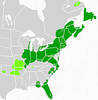 The homeland of the Qarsherskiyan people, called Mezhrevande (pronounced Mezz-Er-Uh-Vond), covers vast swathes of the Eastern two thirds of the USA and Canada wherever Qarsherskiyan families have historic roots and a longtime presence. The Mezhrevande has expanded over time as multigenerationally mixed race families from different areas adopt the term Qarsherskiyan as a self-identifier.